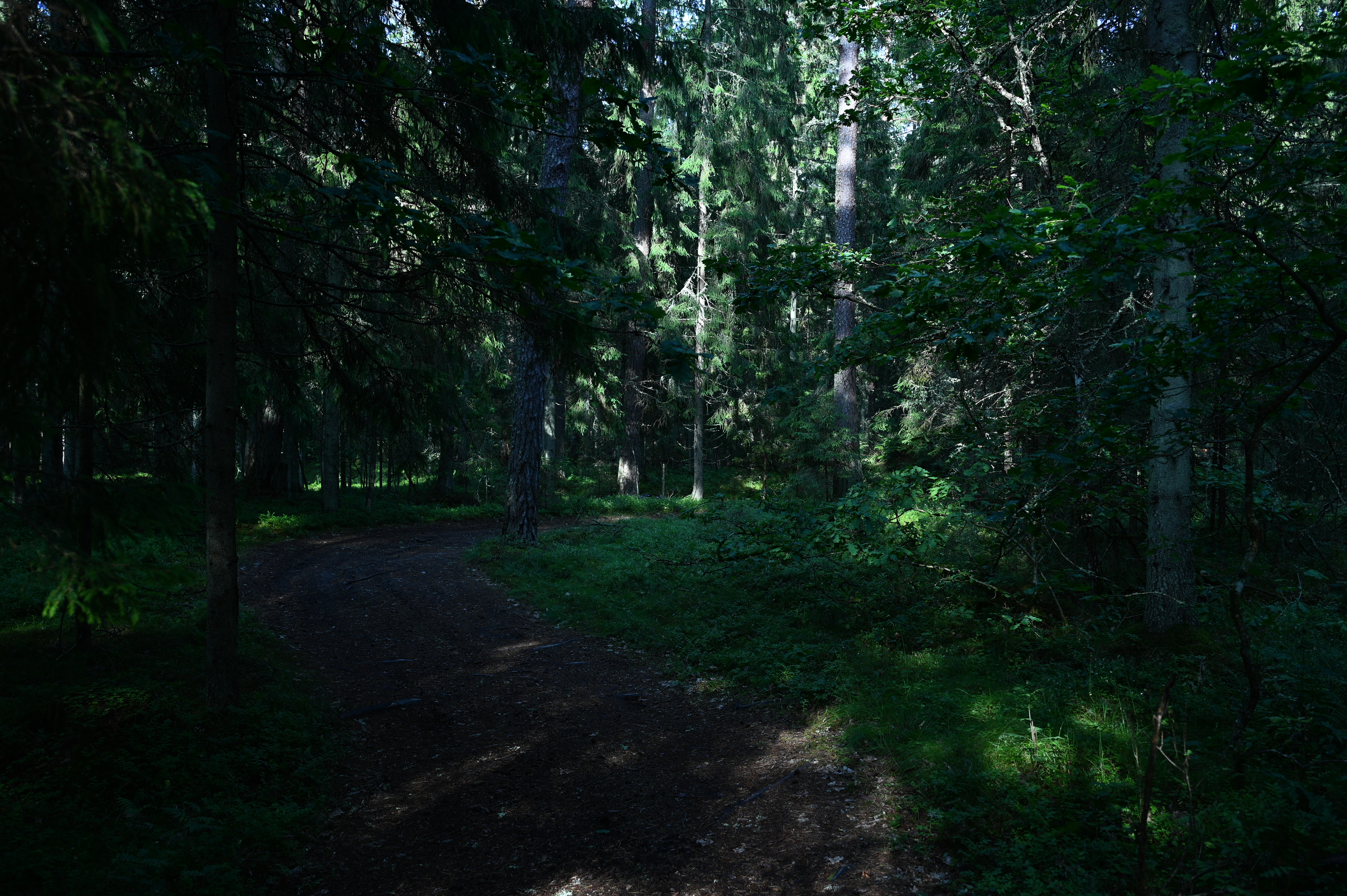 2025/07/09-14 - trip/DSC_0273.JPG